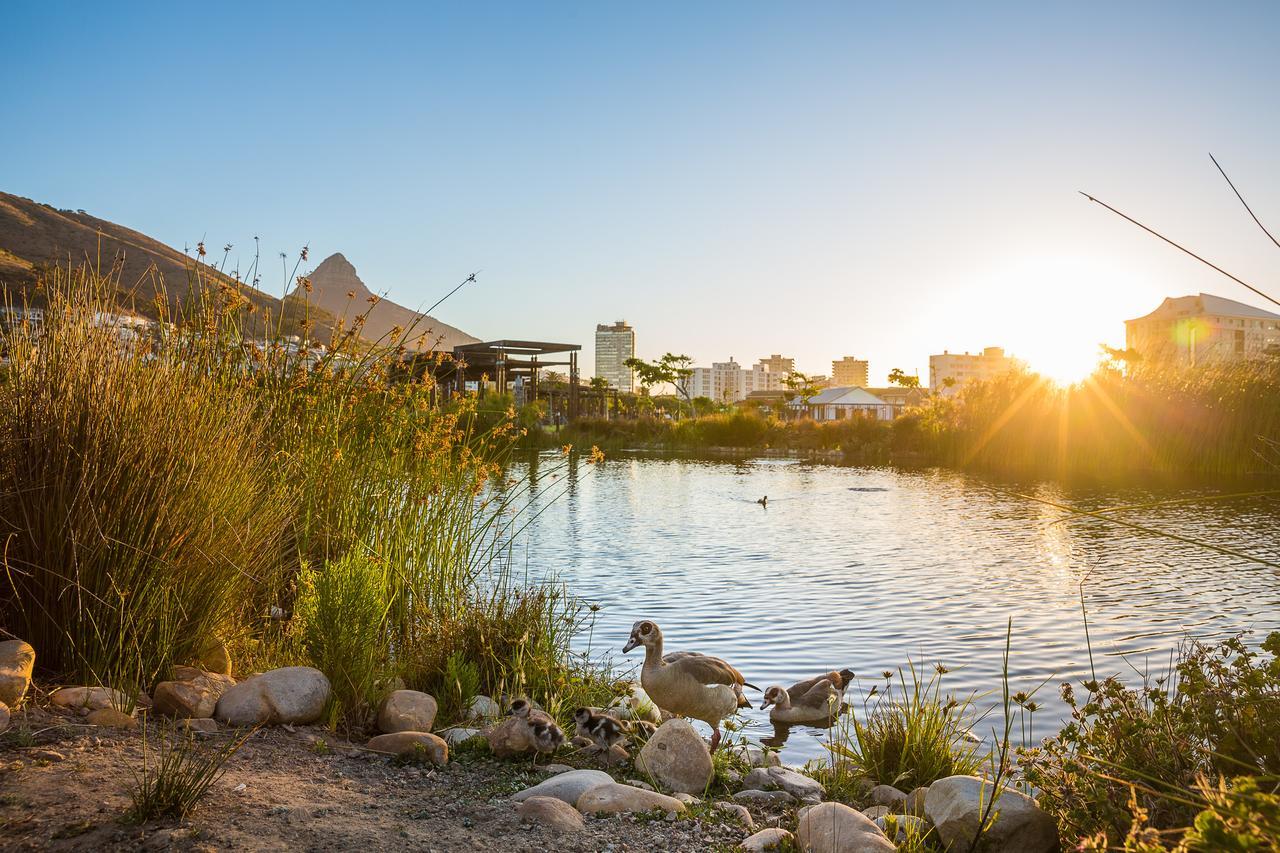 Cape Royale Apartment 810 Cape Town Exterior photo